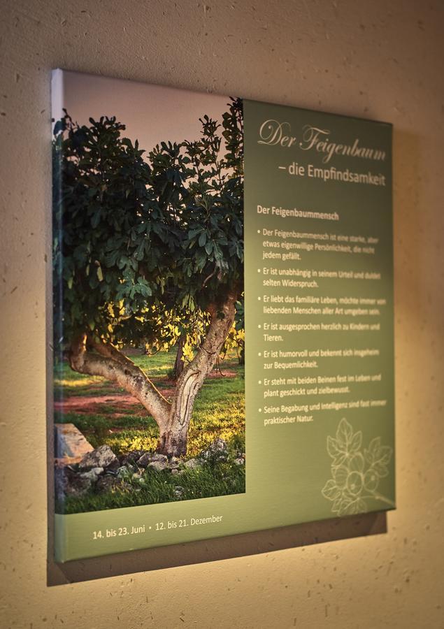 Zedernhof Gesundheits- & Wellnesshotel Stamsried Exterior photo